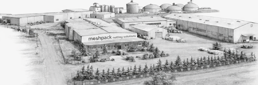 Ihre Bäume, mit uns richtig gut verpackt